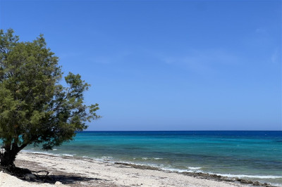 Ag Ioannis Seaside Oasis 01.jpg